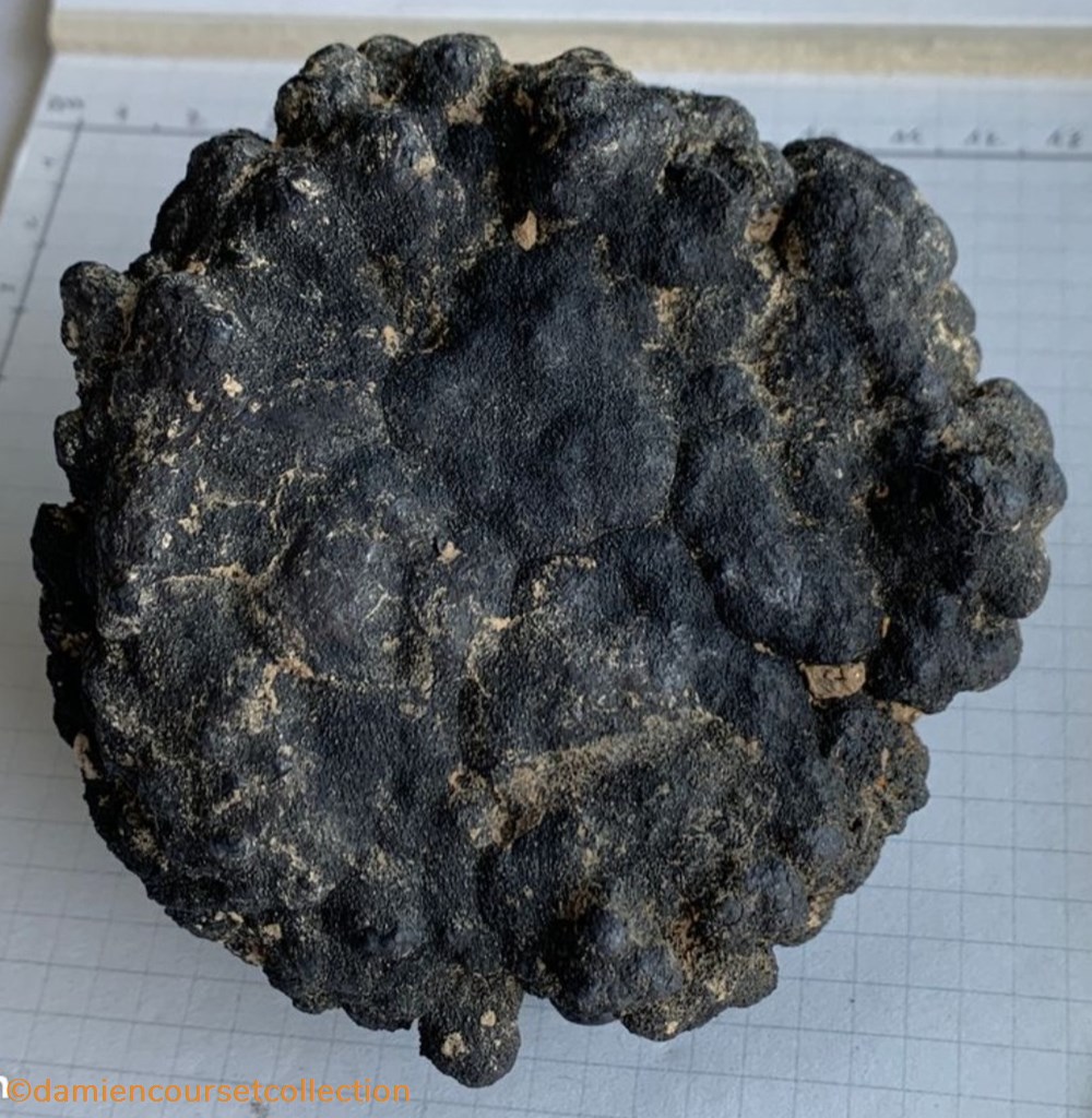 Nodule polymetallique 2 mineraux meteorites nodule polymetallique