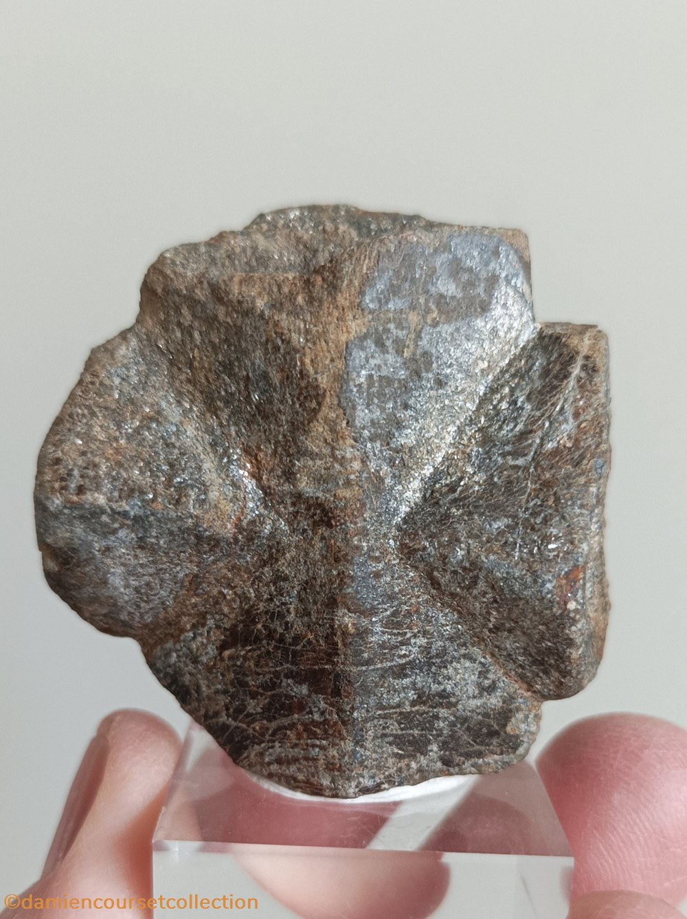 Staurolite ou Staurotide mineraux meteorites staurolite ou staurotide
