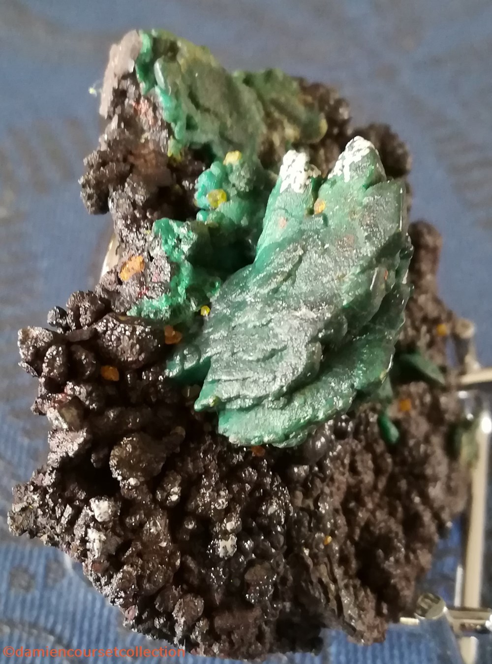 Chrysocolle et Wulfénite (Australie) mineraux meteorite pseudomorphe chrysocolle et wulfenite australie