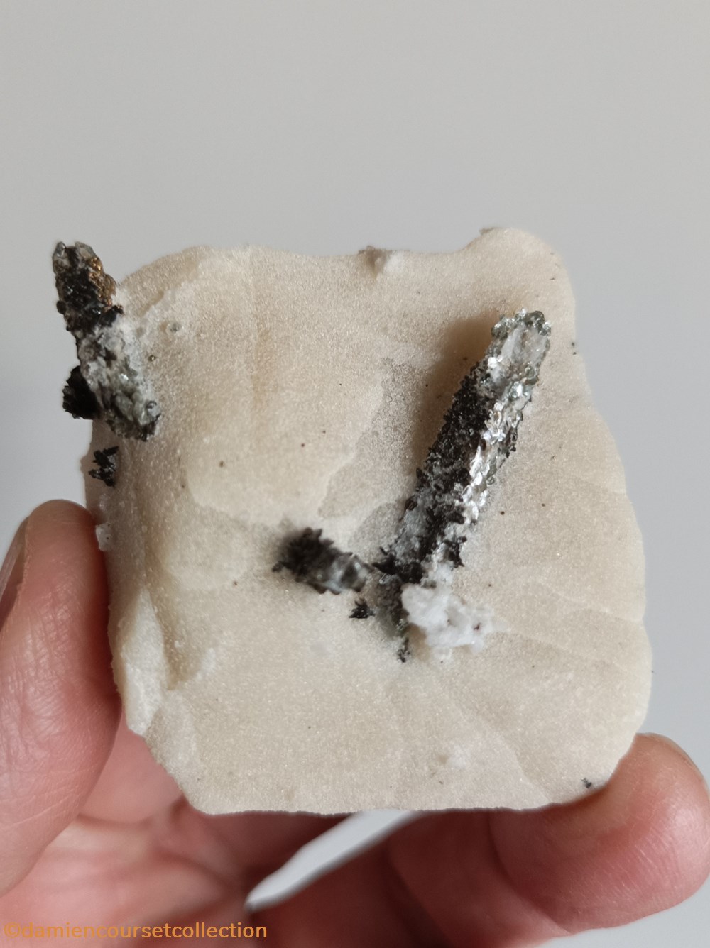 Muscovite pseudomorphose après scapolite sur Gypse mineraux meteorites pyrite octaedrique muscovite pseudomorphose apres scapolite sur gypse