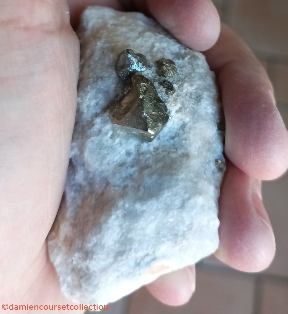 Pyrite sur Gypse (Betchat, Ariège) 3 mineraux meteorites octaedrique pyrite sur gypse betchat ariege