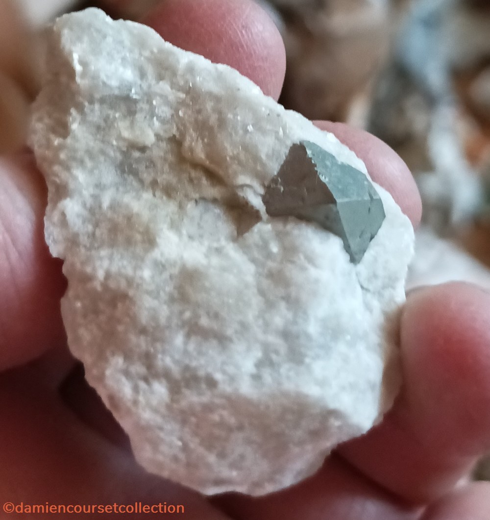 Pyrite sur Gypse (Betchat, Ariège) 2 mineraux meteorites octaedrique pyrite sur gypse betchat ariege