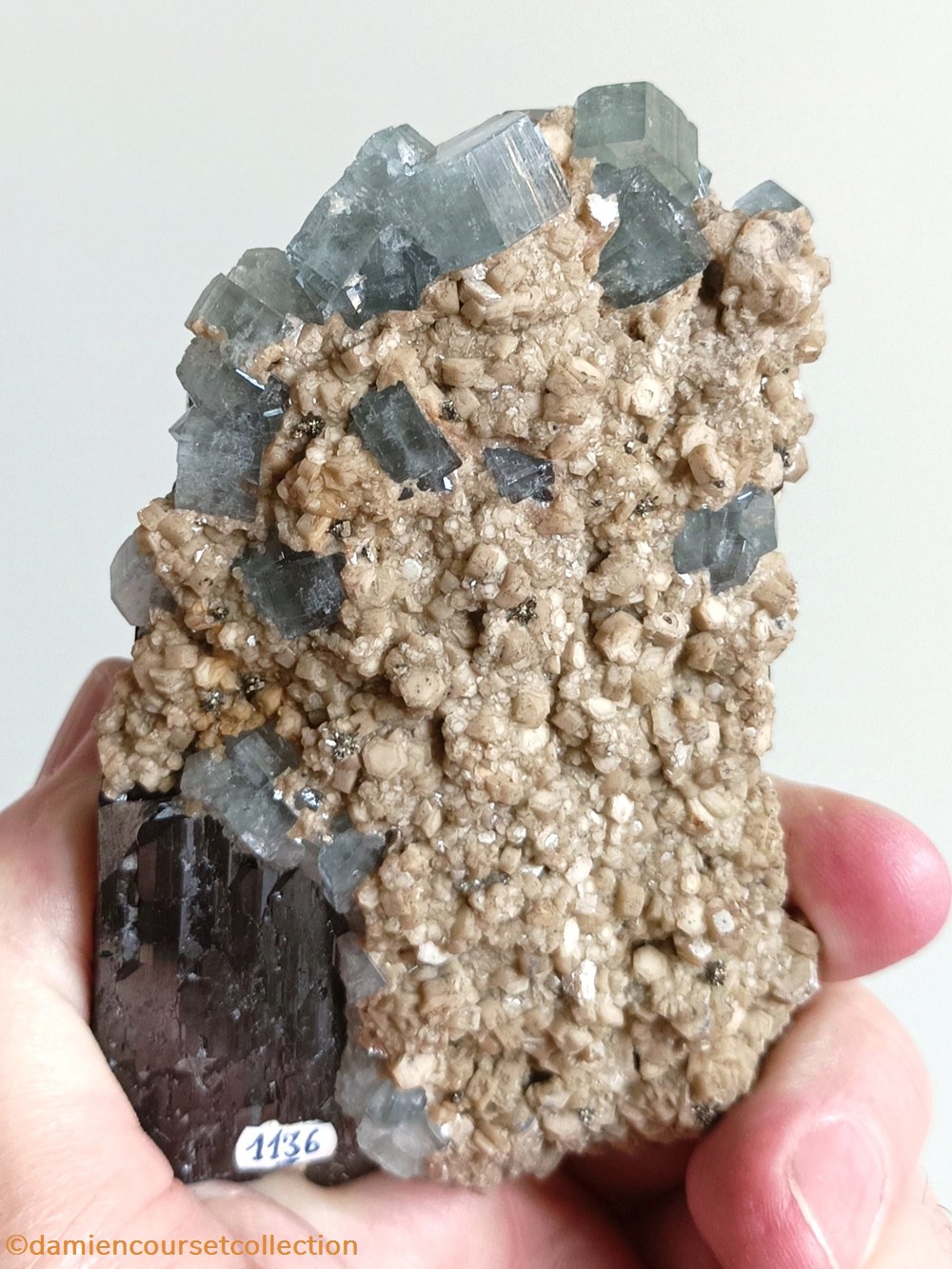 mineraux meteorites ferberite apatites et siderite