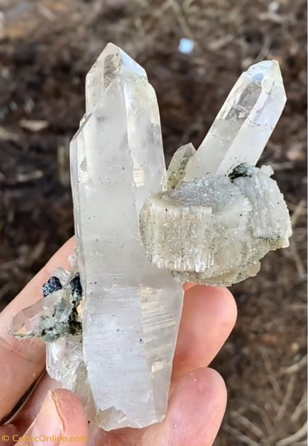 Apatites sur Quartz 2 mineraux meteorites fluorapatite apatites sur quartz