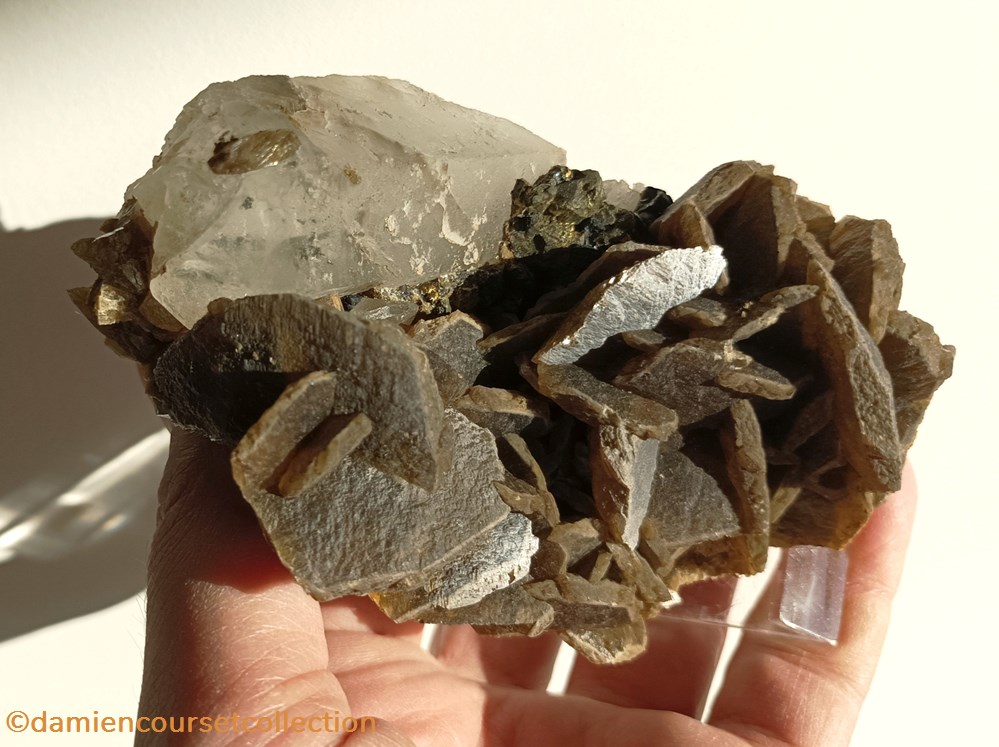 mineraux meteorites fluorite siderite brune