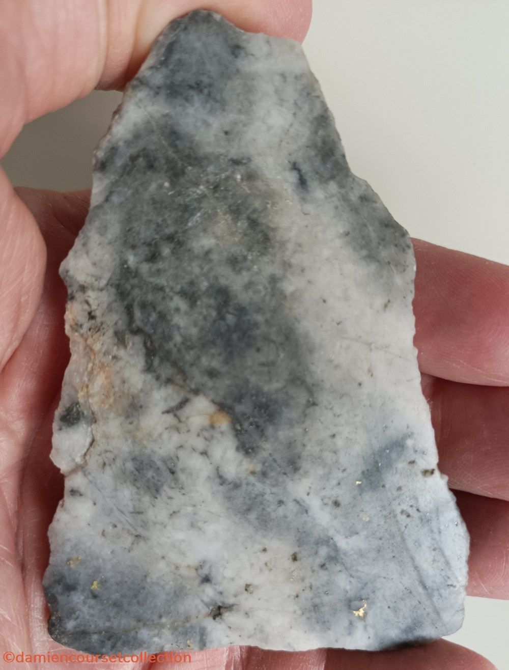 Quartz aurifère (Limousin) 2 mineraux meteorites or natif quartz aurifere limousin