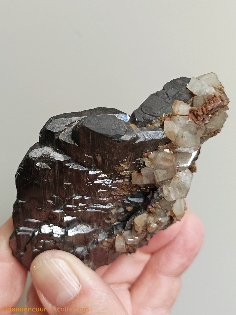 Wolframite (Ferberite) et Apatite 2 mineraux meteorites wolframite ferberite et apatite