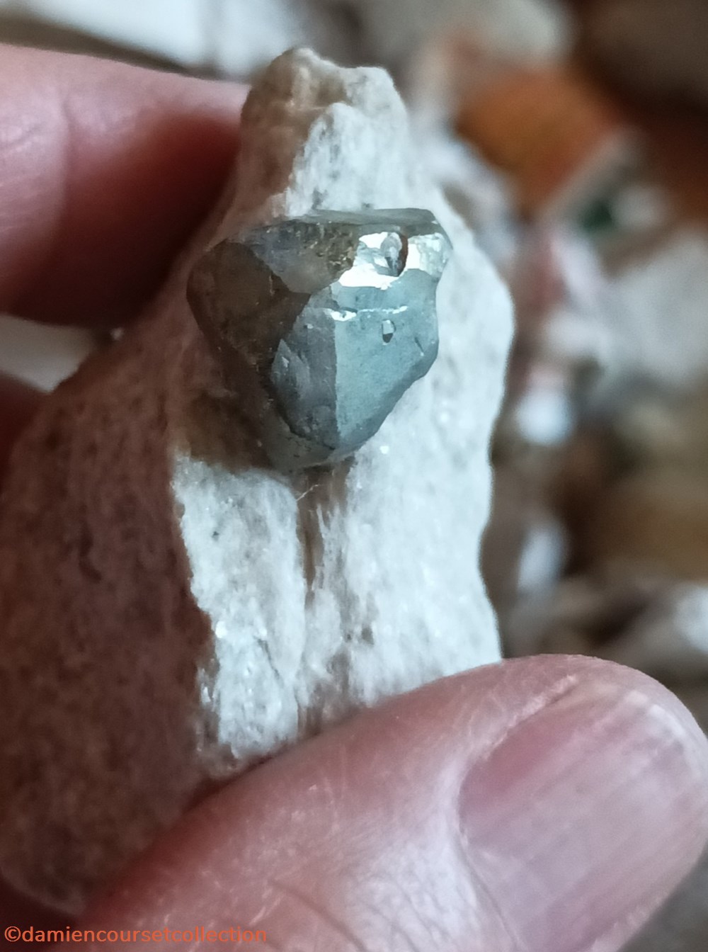 Pyrite sur Gypse (Betchat, Ariège) 4 mineraux meteorites octaedrique pyrite sur gypse betchat ariege