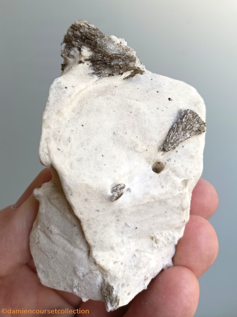 mineraux meteorites pyrite octaedrique muscovite pseudomorphose apres sur gypse ou couseranite