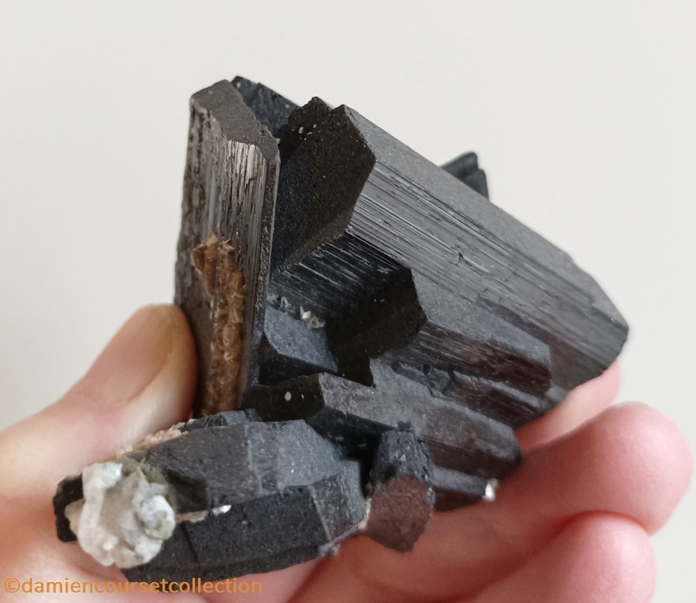 Wolframite (cristaux biterminés) 4 mineraux meteorites wolframite cristaux bitermines
