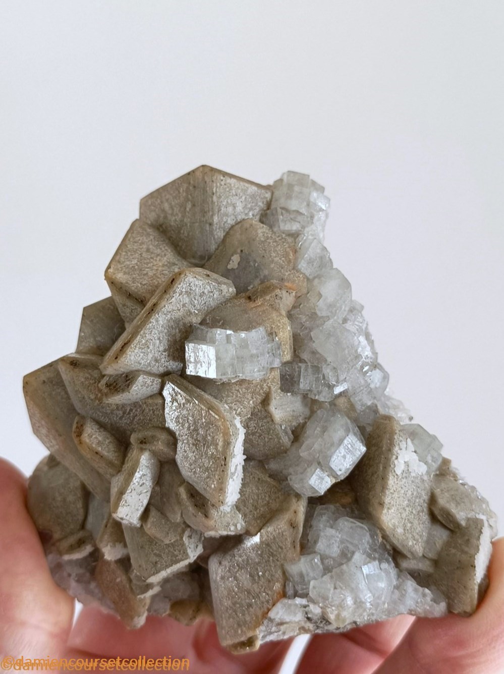 mineraux meteorites fluorapatites sur siderite