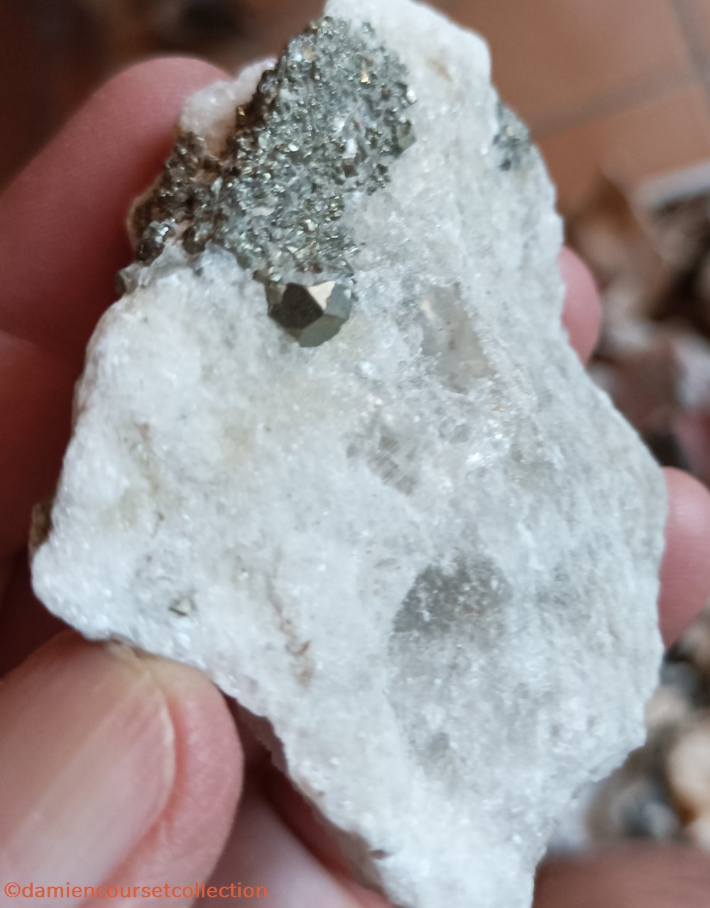 Pyrite sur Gypse (Betchat, Ariège) 5 mineraux meteorites octaedrique pyrite sur gypse betchat ariege