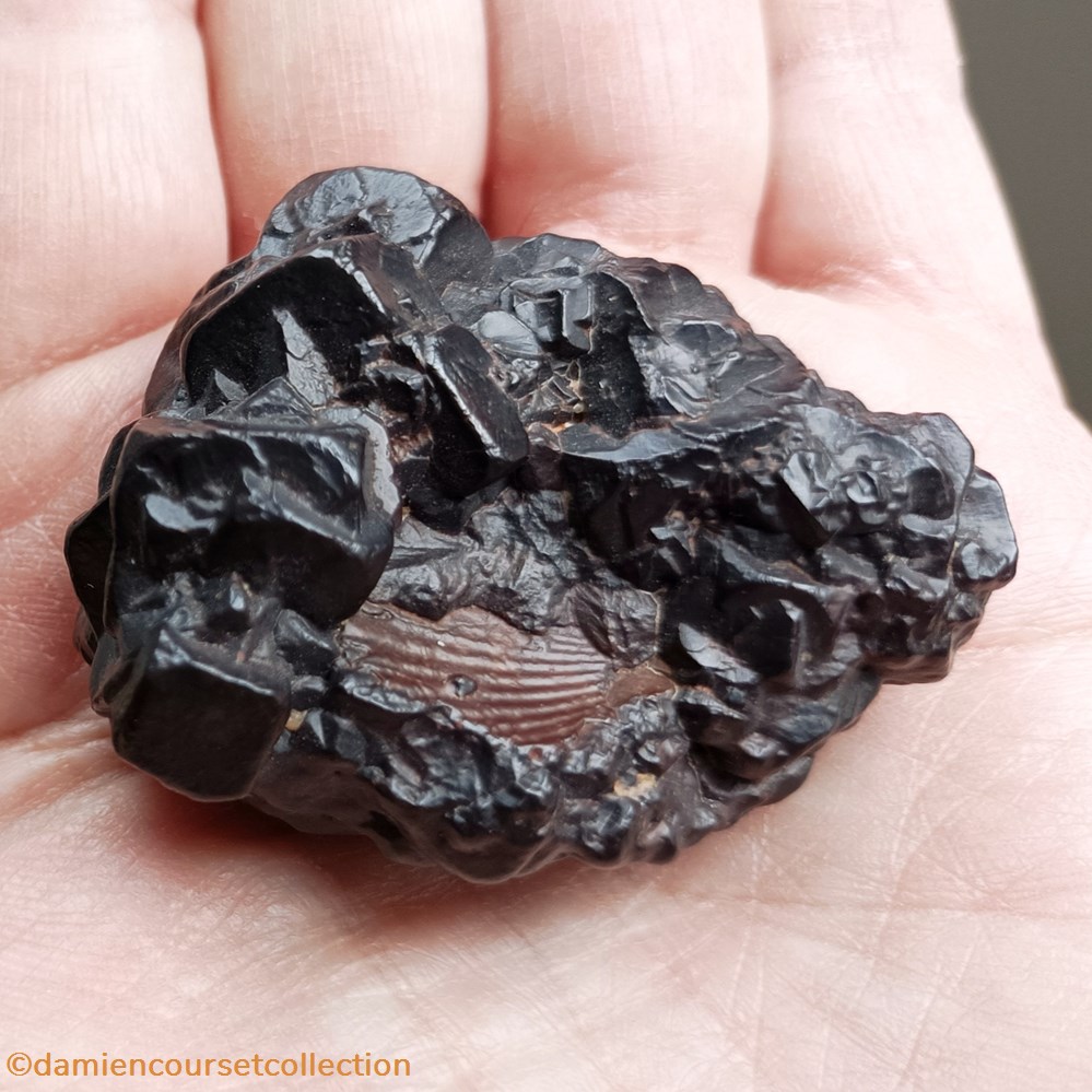 Goethite (pseudomorphose après pyrite et marcasite) 2 mineraux meteorites goethite pseudomorphose apres pyrite et marcasite