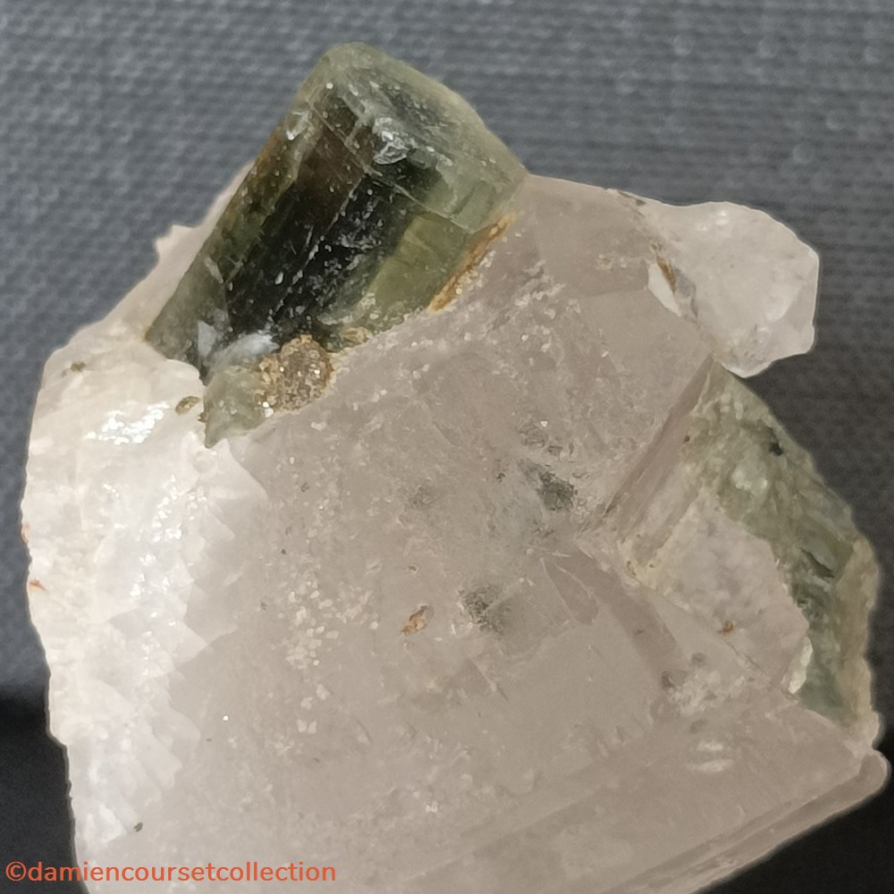 Apatite zonée 2 mineraux meteorites apatite zonee