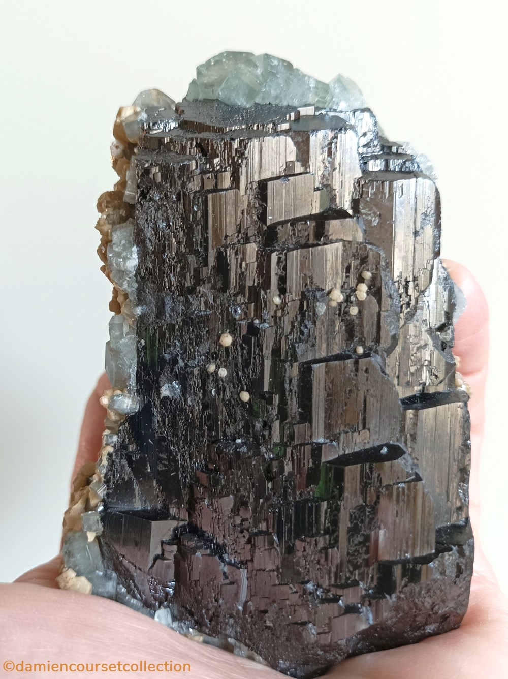 mineraux meteorites ferberite apatites et siderite