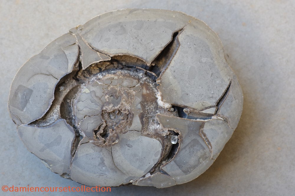 Septaria (France) mineraux meteorites quartz septaria france
