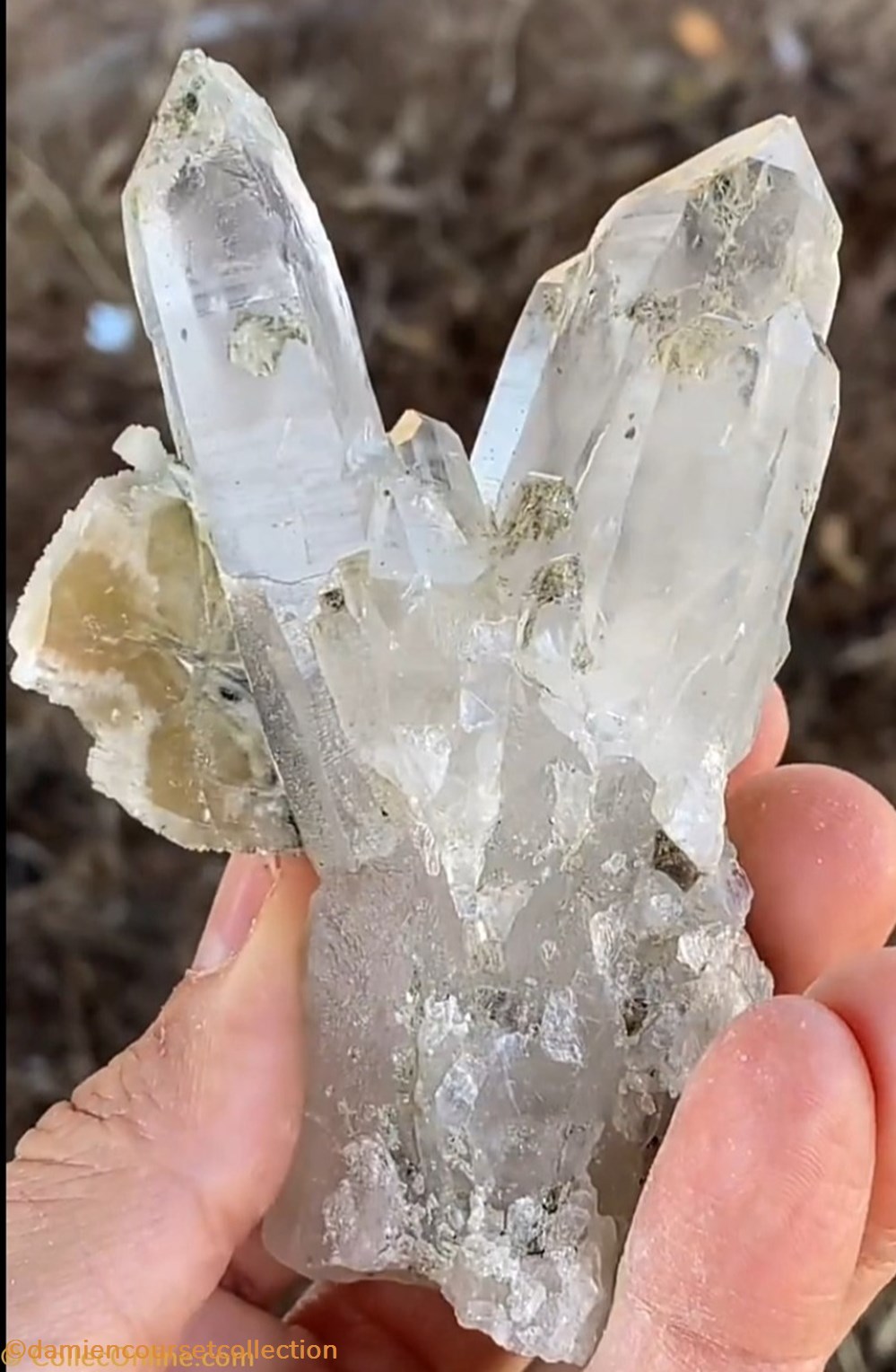 Apatites sur Quartz 3 mineraux meteorites fluorapatite apatites sur quartz