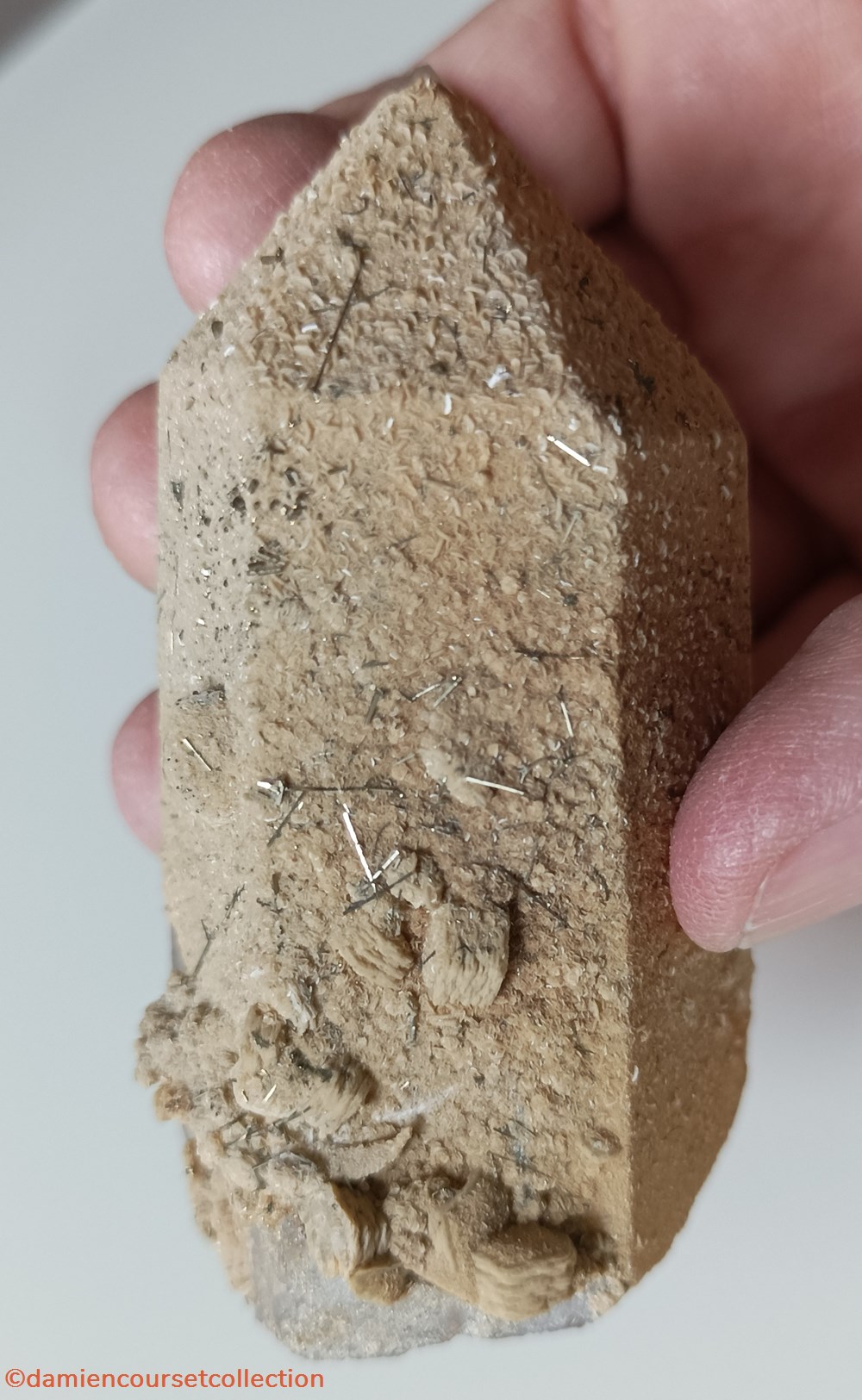 Marcasite acidulaire mineraux meteorites quartz marcasite acidulaire