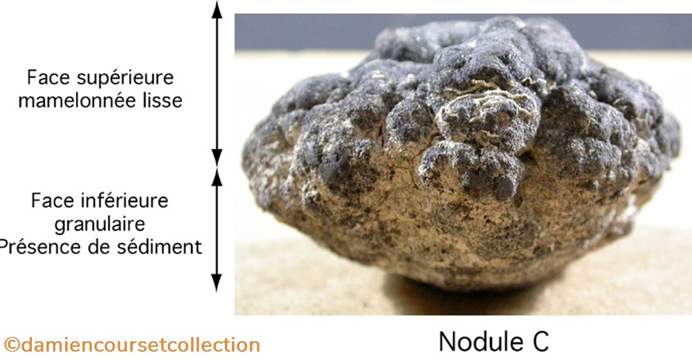 Nodule polymetallique 4 mineraux meteorites nodule polymetallique