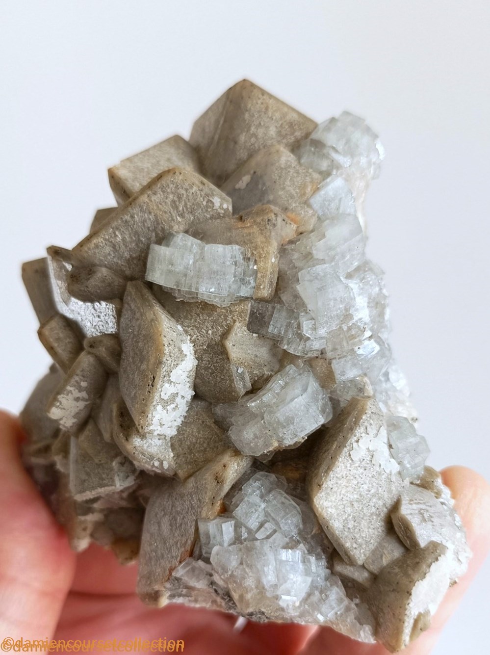 mineraux meteorites fluorapatites sur siderite