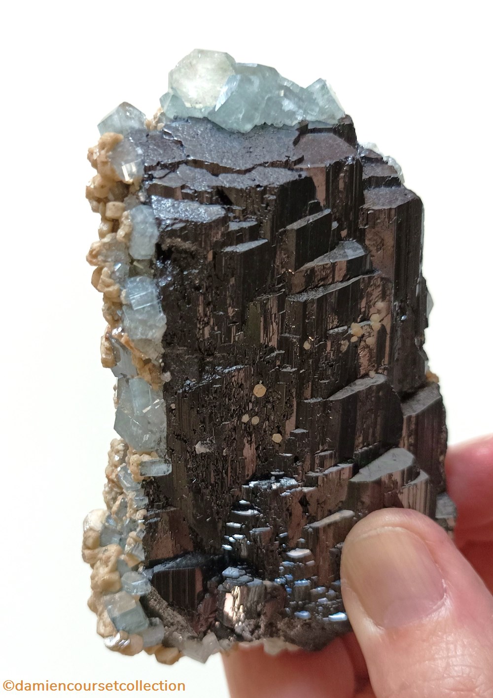 mineraux meteorites ferberite apatites et siderite