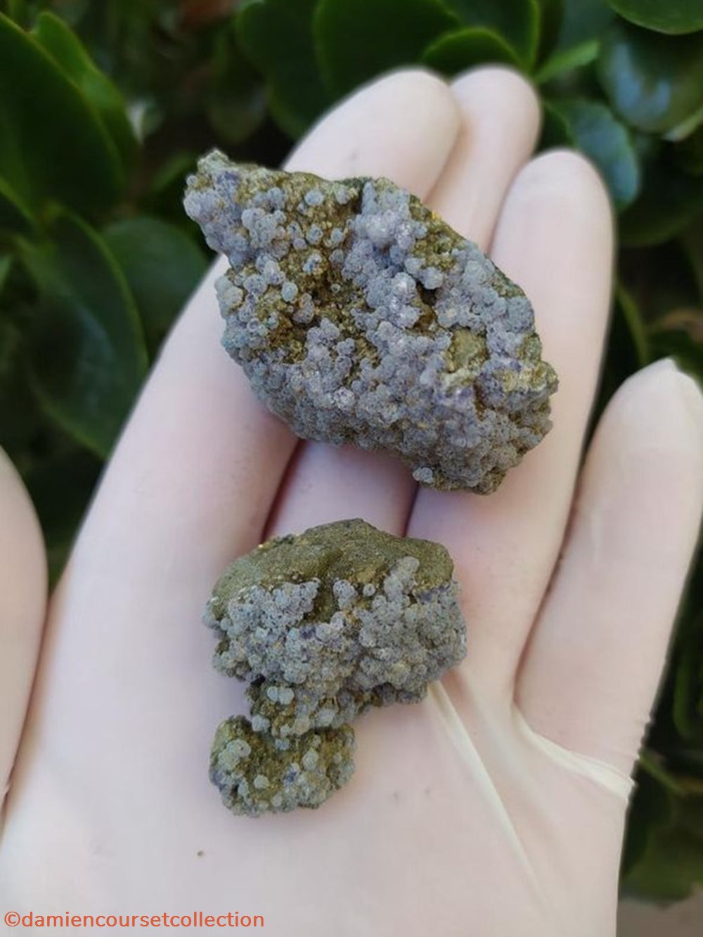 mineraux meteorites fluorite sur chalcopyrite