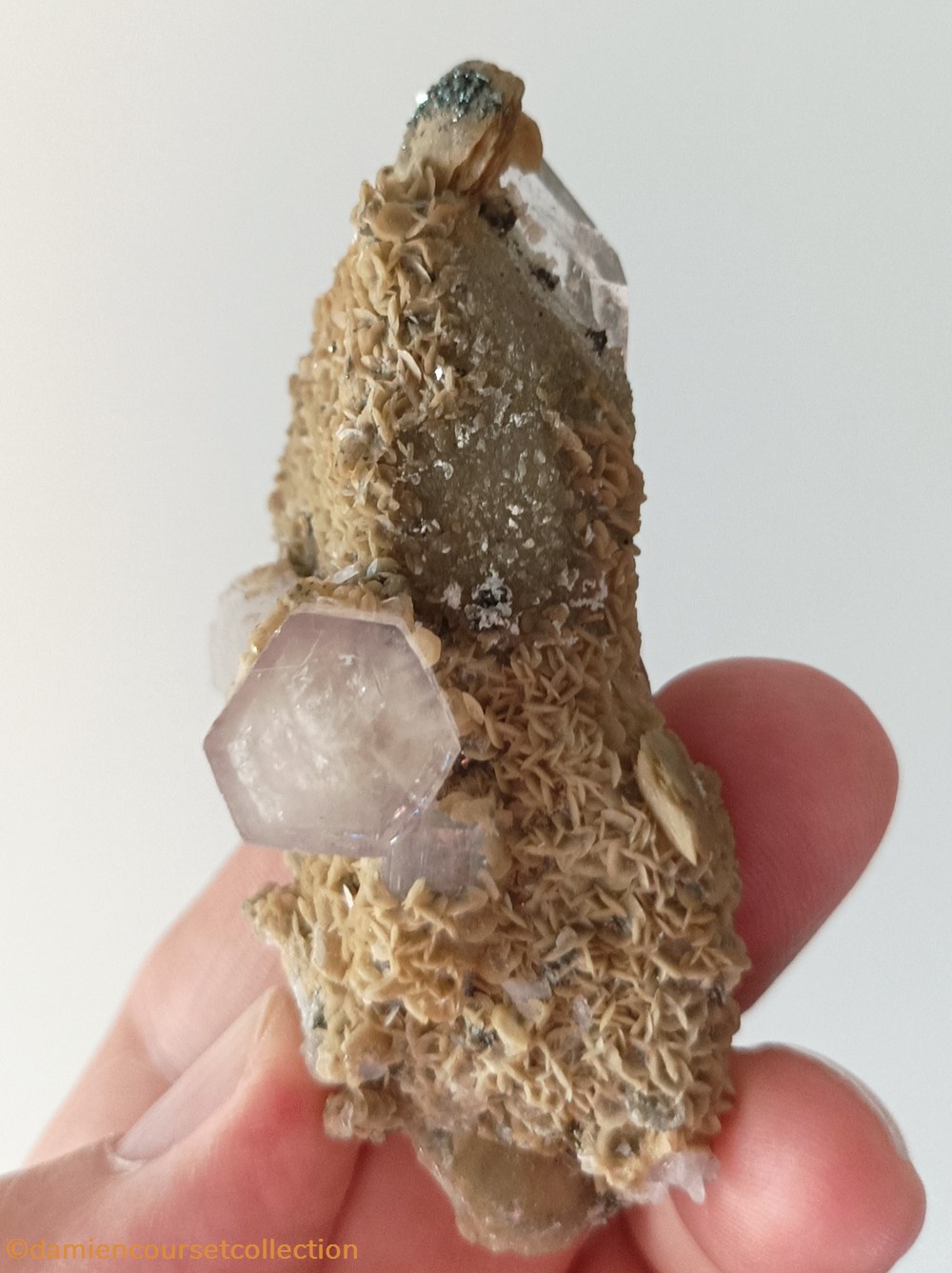Apatites sur quartz et siderite mineraux meteorites apatites sur quartz et siderite