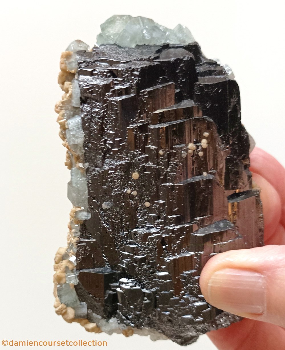 mineraux meteorites ferberite apatites et siderite