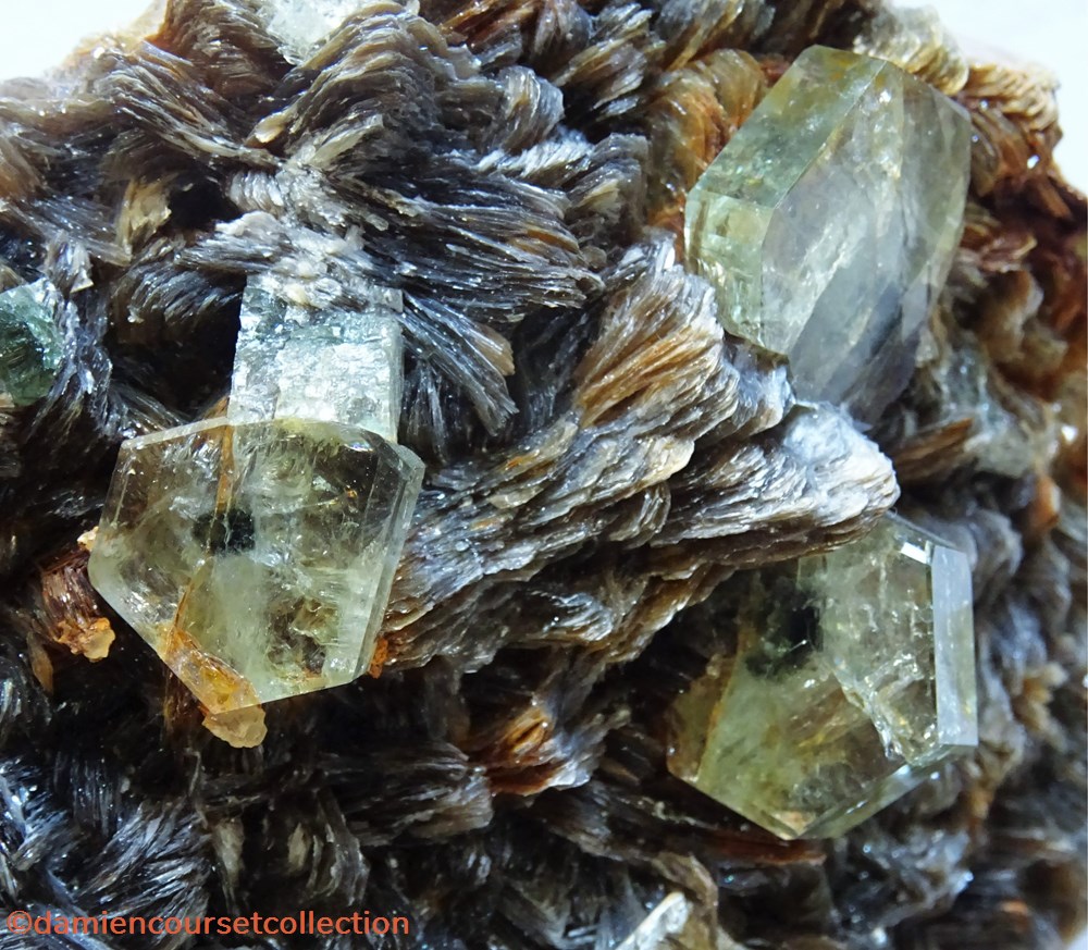 Apatite "Black Eyed Peas" 3 mineraux meteorites fluorapatite apatite black eyed peas