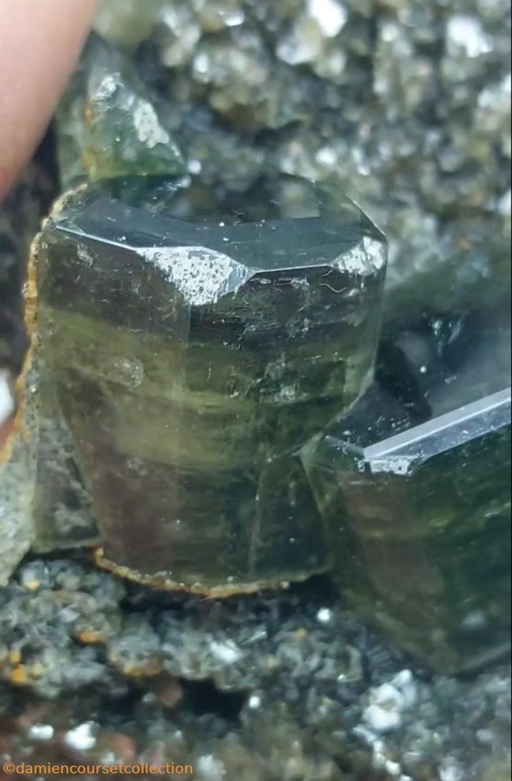 Apatites vertes sur muscovite 2 mineraux meteorites fluorapatite apatites vertes sur muscovite