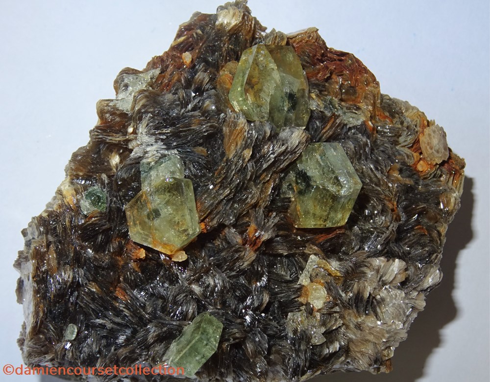 Apatite "Black Eyed Peas" 2 mineraux meteorites fluorapatite apatite black eyed peas