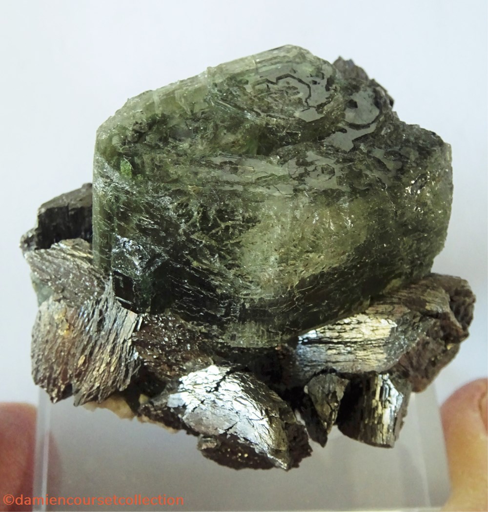 Apatite sur Arsénopyrite mineraux meteorites fluorapatite apatite sur arsenopyrite