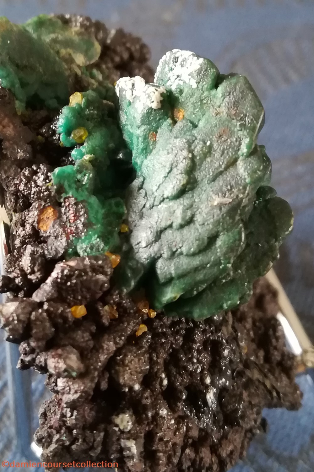 Chrysocolle et Wulfénite (Australie) 2 mineraux meteorite pseudomorphe chrysocolle et wulfenite australie