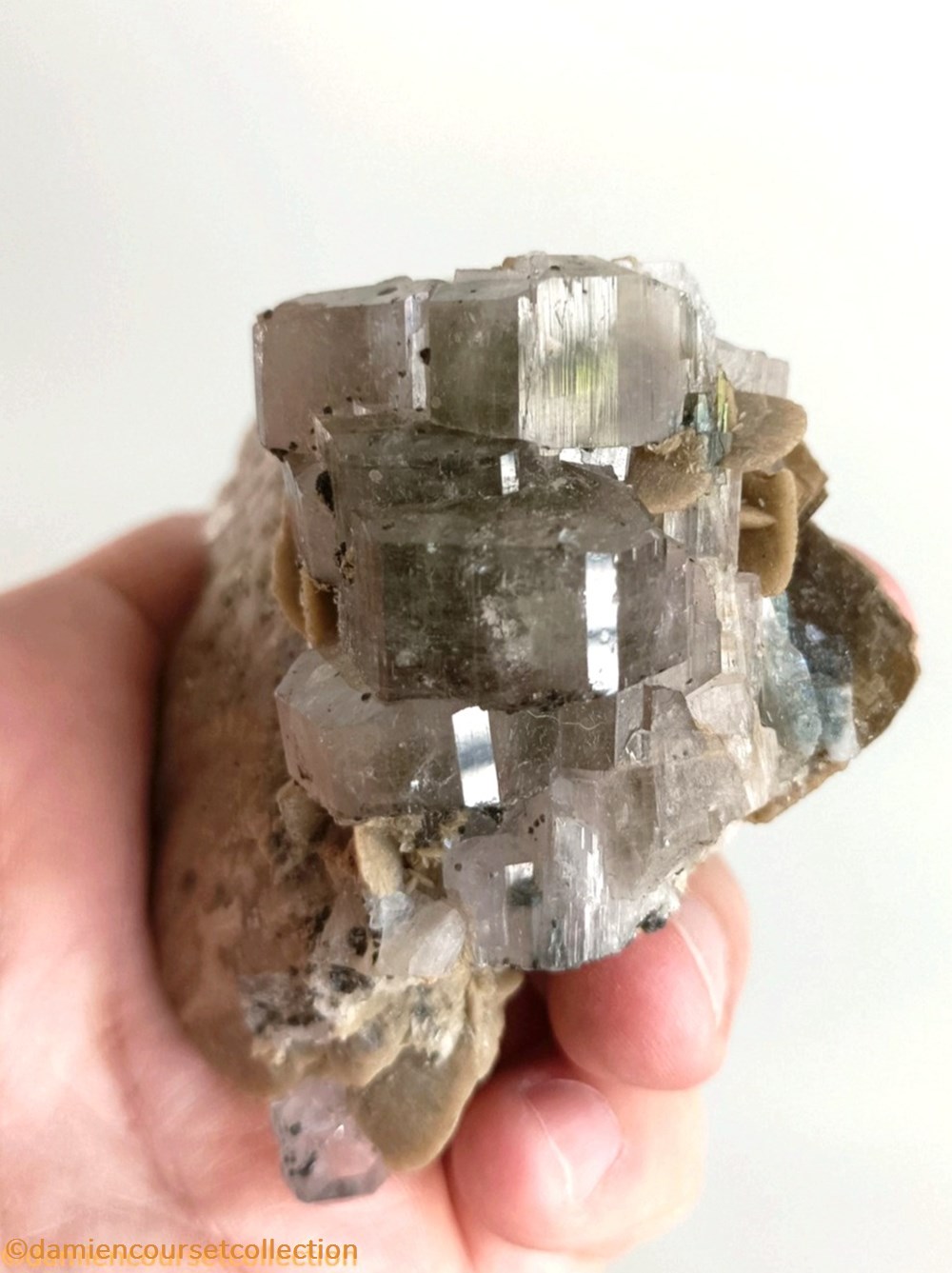 Apatites sur siderite 2 mineraux meteorites apatites sur siderite