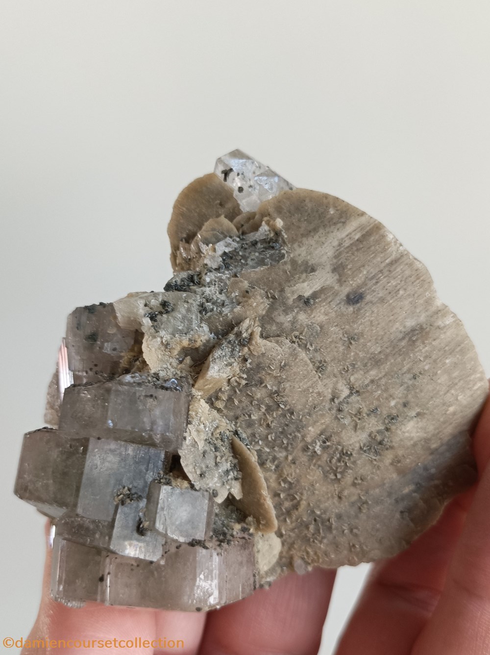 Apatites sur siderite 5 mineraux meteorites apatites sur siderite