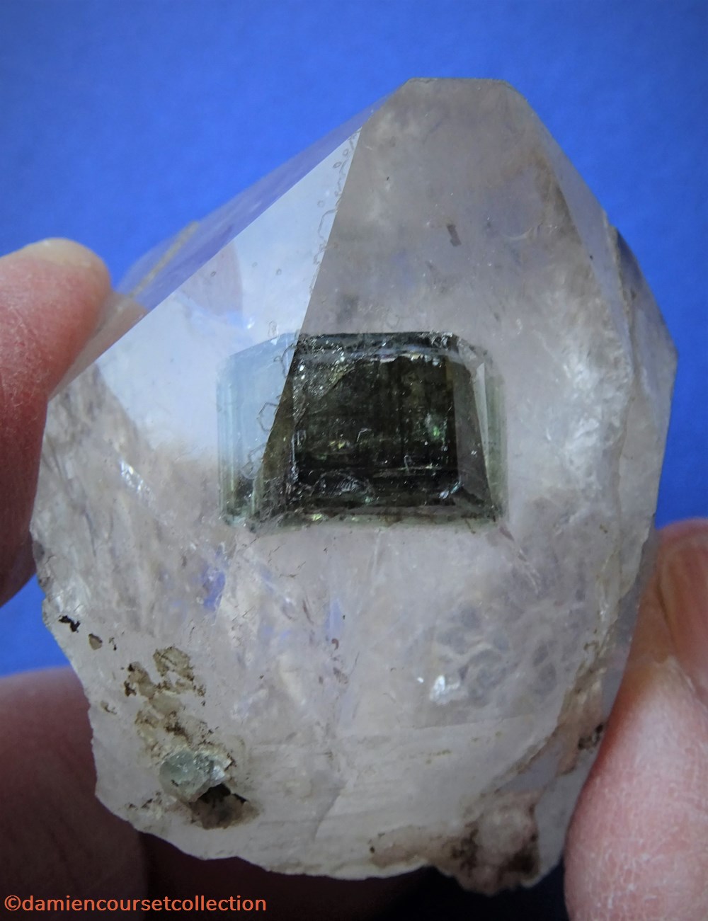 Apatite (inclusion dans Quartz) mineraux meteorites fluorapatite apatite inclusion dans quartz