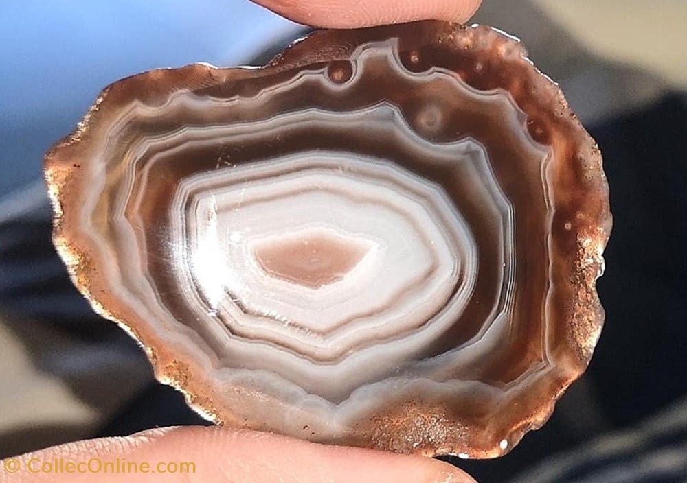 mineraux meteorites agate du botswana