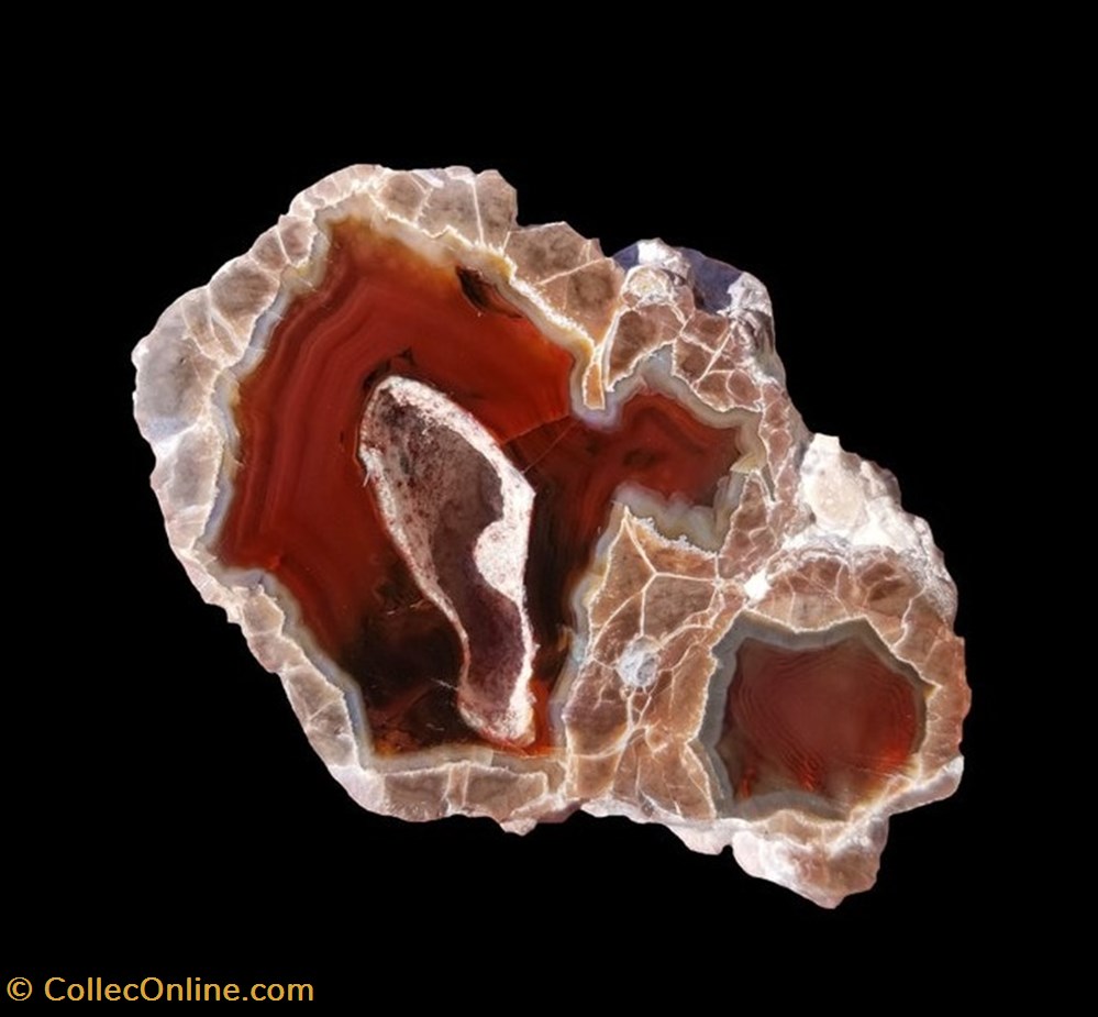 Thunder Egg, Baker Ranch, Hermanas, Nouveau-Mexique. mineraux meteorites thunder egg baker ranch hermanas nouveau mexique