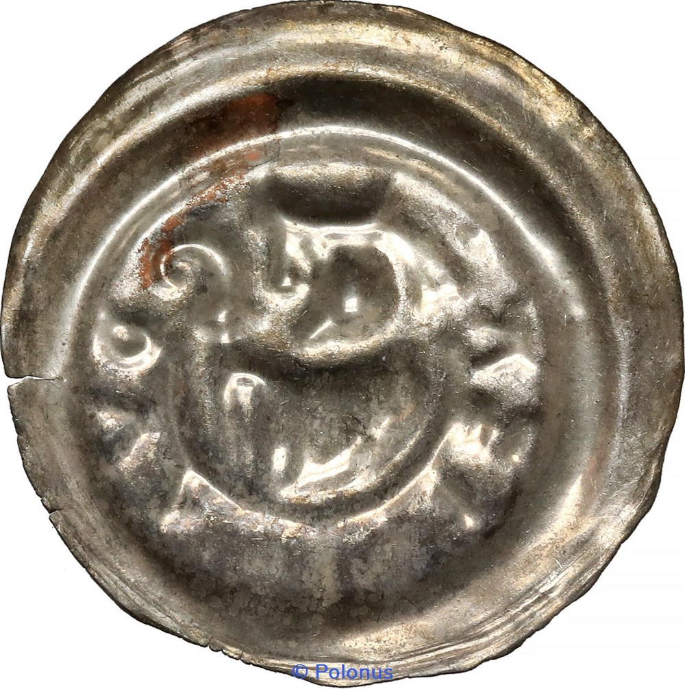 Leszek the White, last senior duke of Poland (1202-27) or his successors coins european medieval to konigreich polen leszek the white last senior duke of poland 1202 27 or his successors