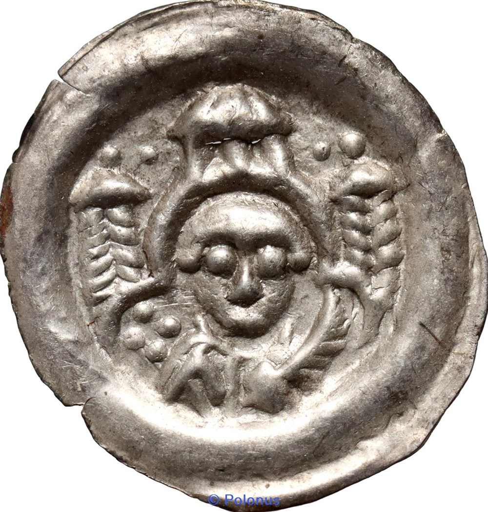 Leszek the White last senior duke of Poland (1202-27) or his successors coins european medieval to konigreich polen leszek the white last senior duke of poland 1202 27 or his successors
