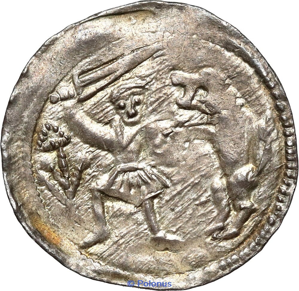 coins european medieval to konigreich polen w adys aw ii the exile as senior duke of poland