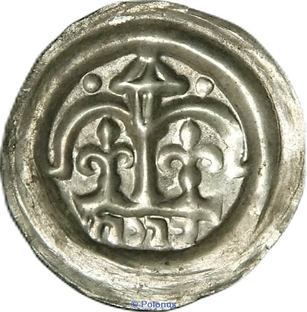 Leszek the White last senior duke of Poland (1202-27) or his successors coins european medieval to konigreich polen leszek the white last senior duke of poland 1202 27 or his successors