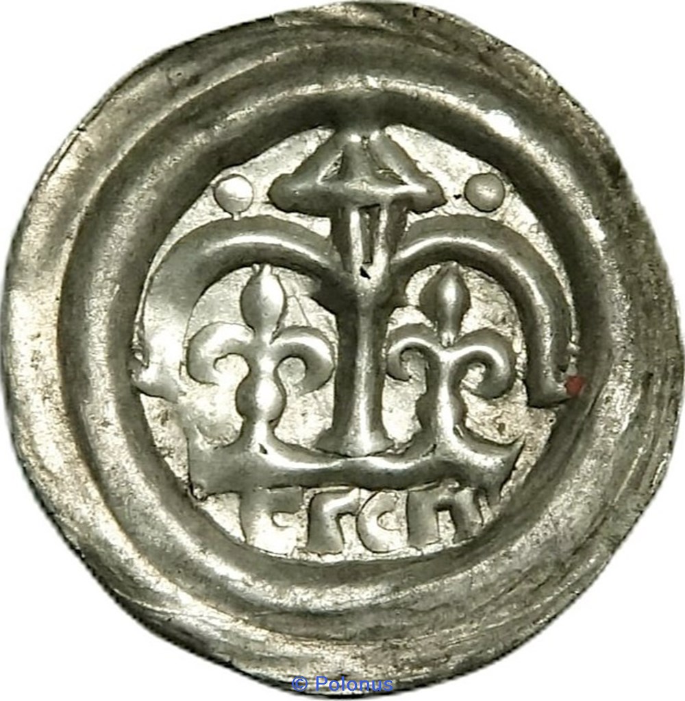 Leszek the White last senior duke of Poland (1202-27) or his successors coins european medieval to konigreich polen leszek the white last senior duke of poland 1202 27 or his successors