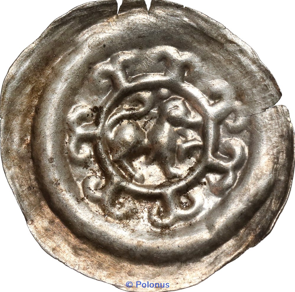 Leszek the White last senior duke of Poland (1202-27) or his successors coins european medieval to konigreich polen leszek the white last senior duke of poland 1202 27 or his successors