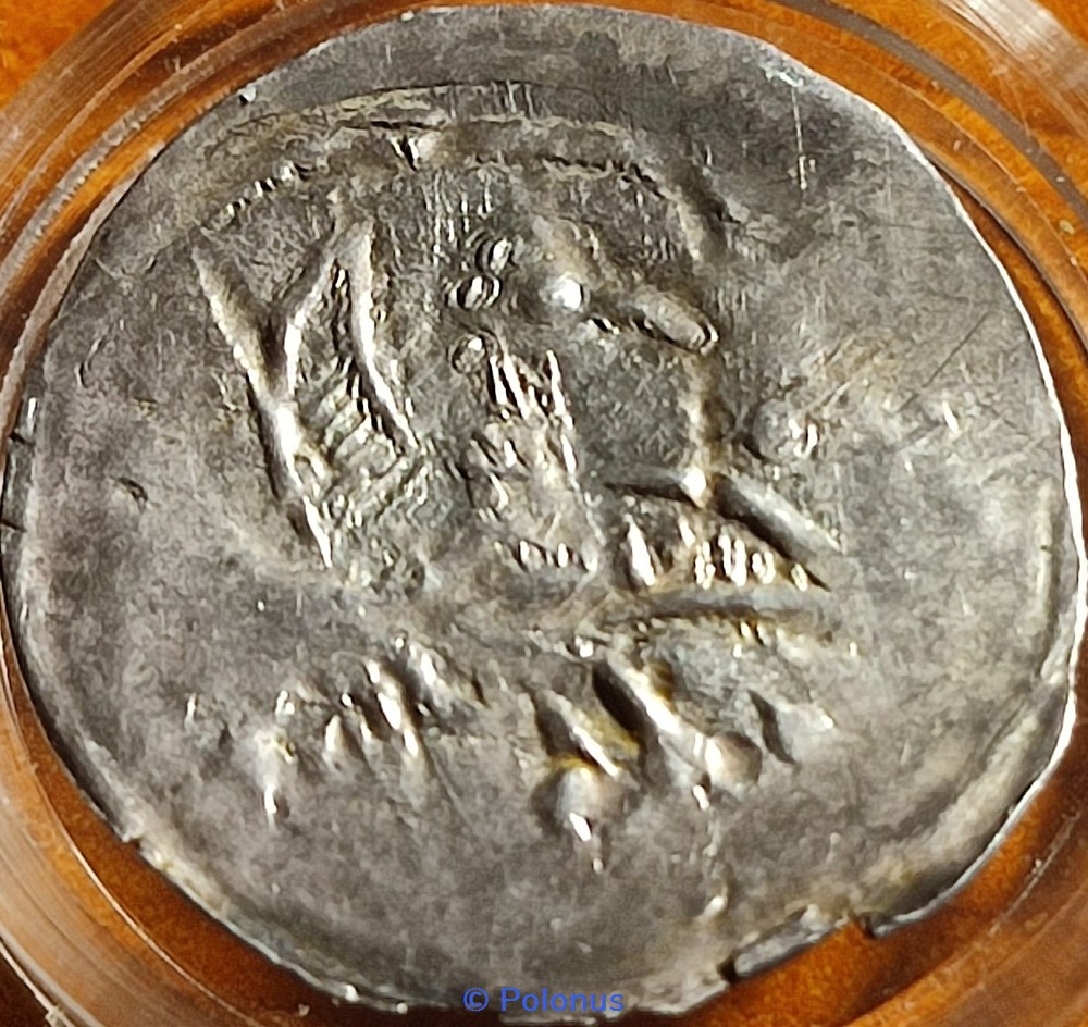 Boleslaw IV the Curly as Senior Duke of Poland or Boleslaw the Tall Duke of Silesia 4 coins european medieval to konigreich polen boleslaw iv the curly as senior duke of poland or boleslaw the tall duke of silesia