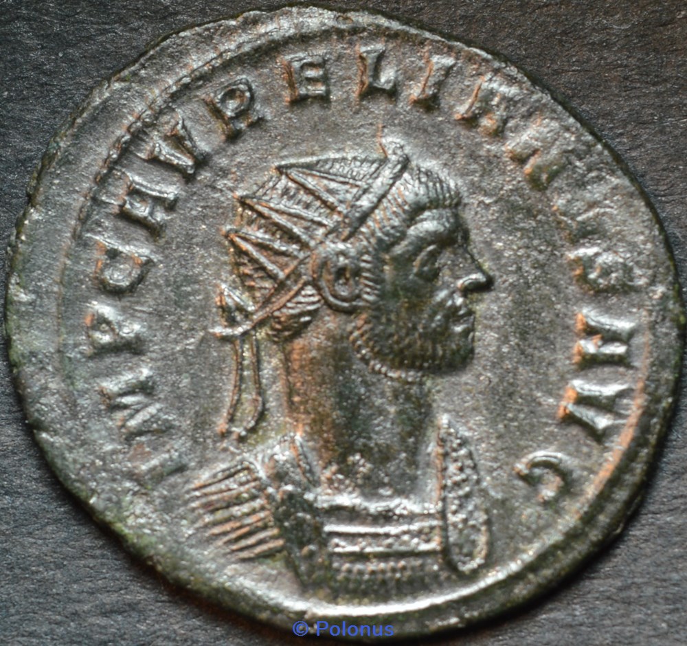 RESERVED 2264 coins ancient to romans imperial and republican reserved 2264