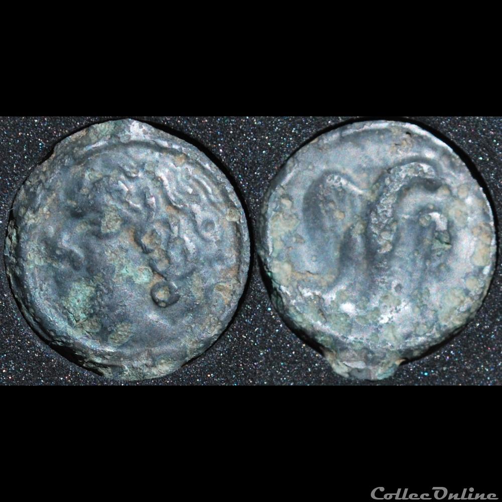 Carnutes - A l'aigle de face et à la tête frisée monnaie antique gauloise carnutes a aigle de face et a la tete frisee