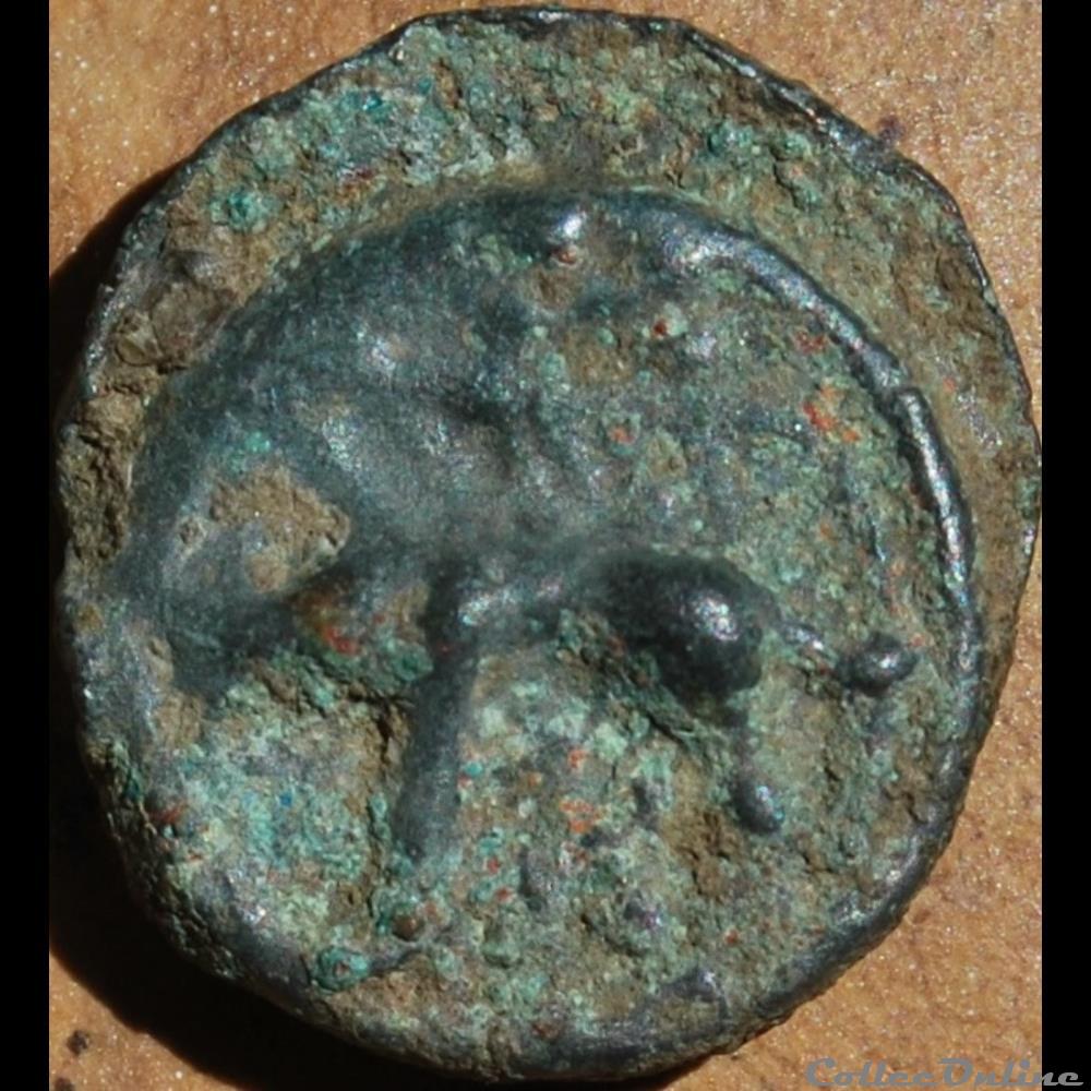 DT 3504 Potin au sanglier type lourd monnaie antique gauloise dt 3504 potin au sanglier type lourd