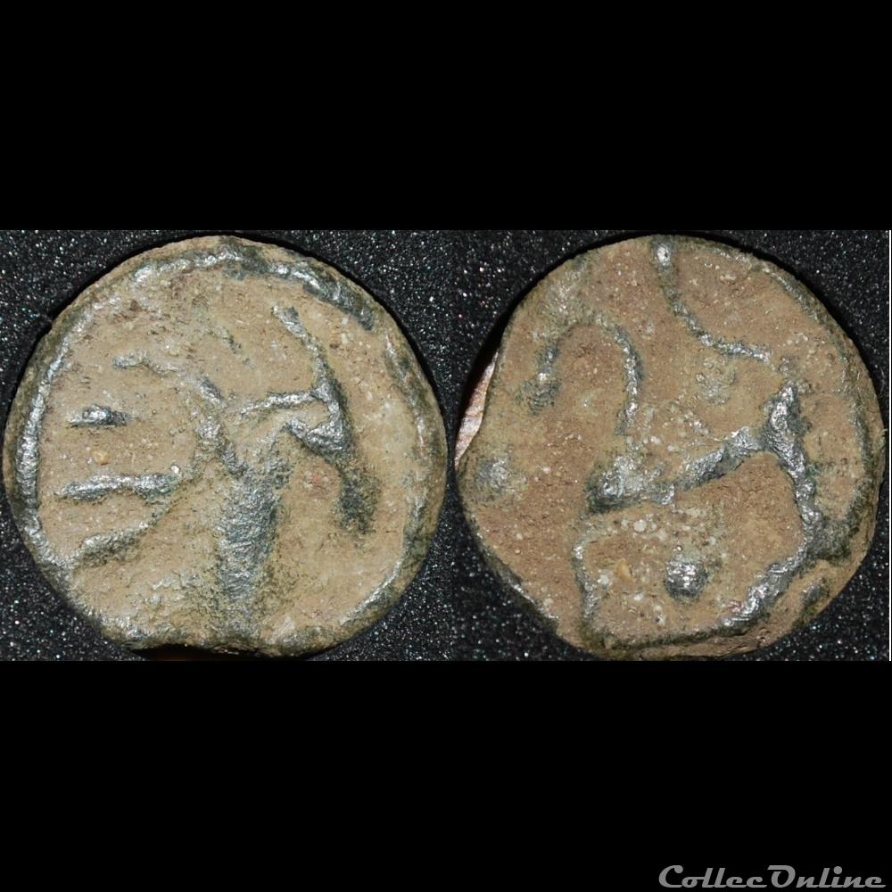 monnaie antique gauloise senons a la tete indien et au cheval stylise