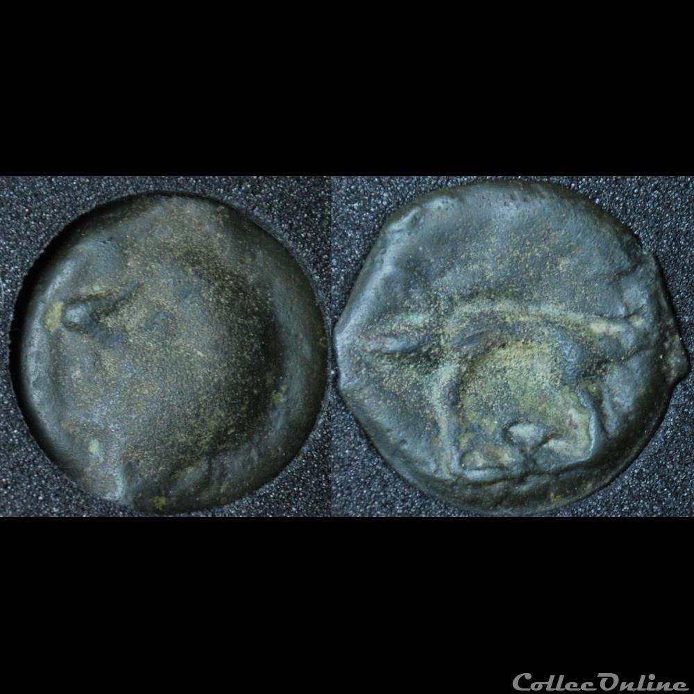 Sénons - Tête chauve et sanglier monnaie antique gauloise senons tete chauve et sanglier